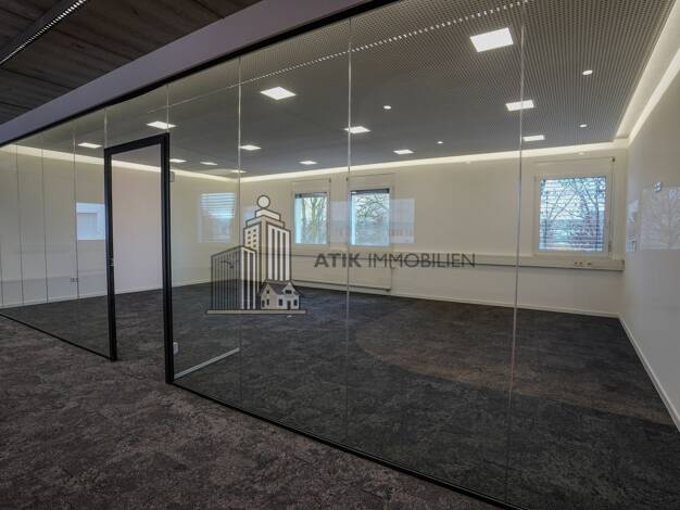 Bürofläche zur Miete provisionsfrei 11 € 525 m² Bürofläche teilbar ab 235 m² Rheinau Mannheim 68219