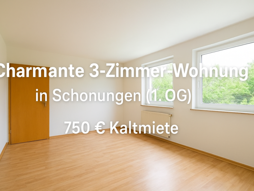 Wohnung zur Miete 750 € 3 Zimmer 60 m² Geschoss 1/3 frei ab sofort Schonungen 97453
