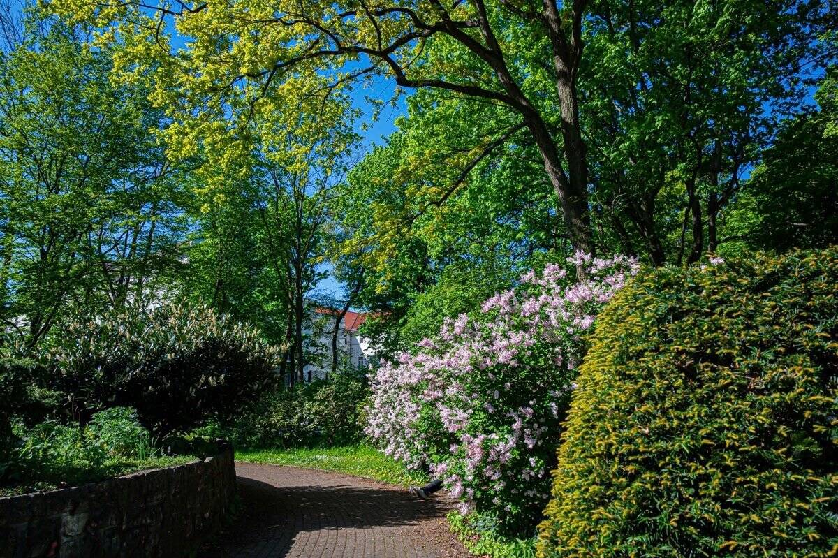 Property thumbnail 14