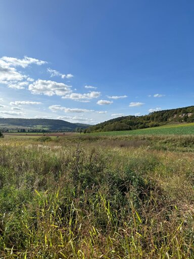 Grundstück zum Kauf provisionsfrei 78.720 € 656 m² Grundstück Kastanienweg Heinebach Alheim 36211