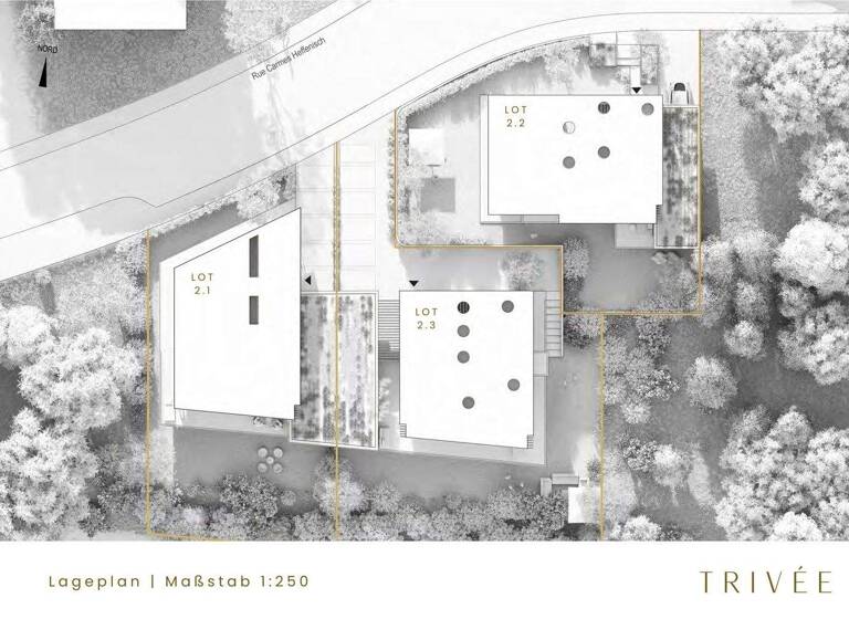 Villa zum Kauf - Erstbezug provisionsfrei 2.322.000 € 6 Zimmer 244,6 m² 481 m² Grundstück rue Marie Carmes Heffenisch Dudelange 3529