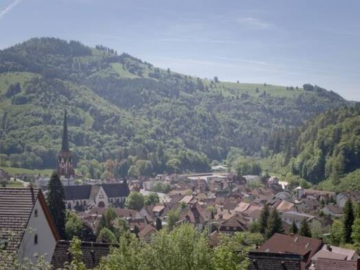 Wohnung zum Kauf 105.000 € 1 Zimmer 46 m² 2. Geschoss frei ab sofort Schönau im Schwarzwald 79677
