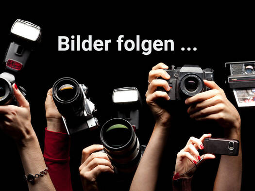 Grundstück zum Kauf 57.000 € 1.637 m² Grundstück Mügeln Jessen (Elster) 06917