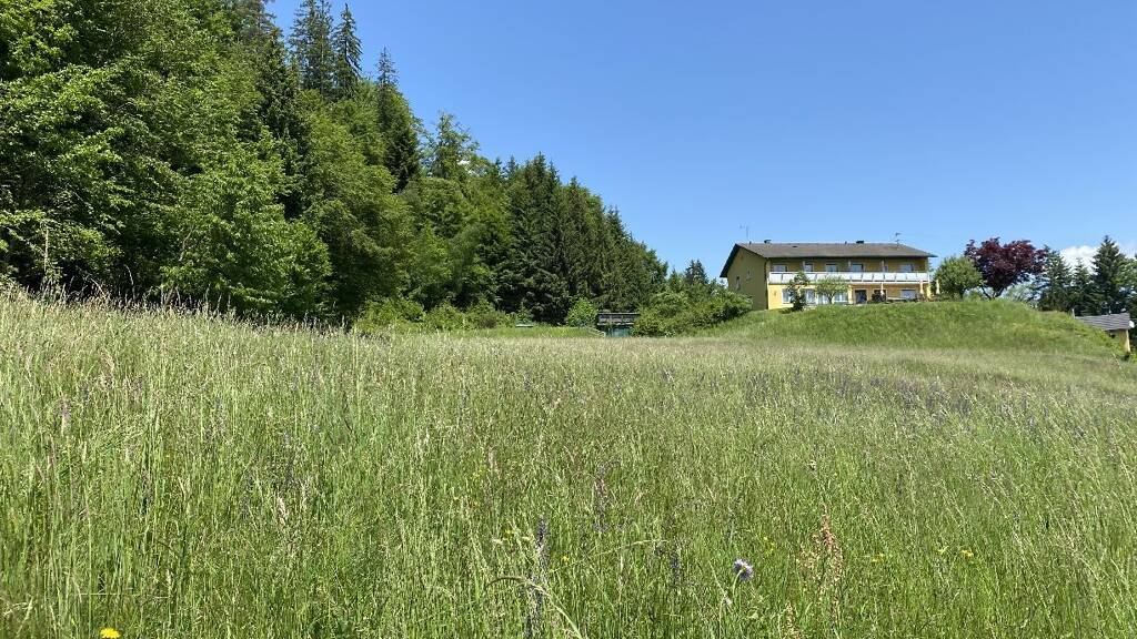 Grundstück zum Kauf 332.728 € 1.672 m² Grundstück Pörtschach am Wörther See 9210