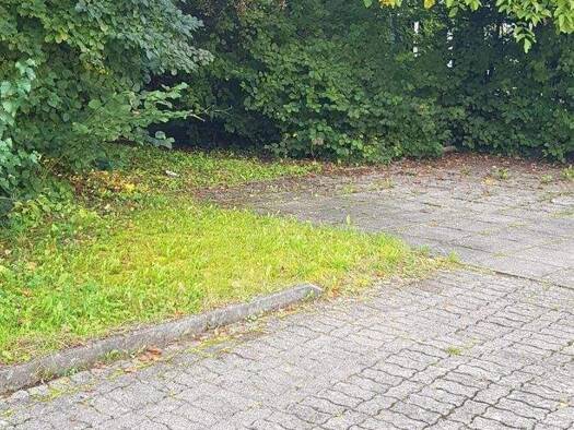 Terrassenwohnung zur Miete 1.450 € 2,5 Zimmer 158 m² frei ab sofort Hauptstraße 59 Reichenbach Reichenbach-Steegen 66879