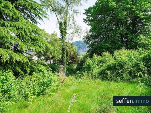 Grundstück zum Kauf 695.000 € 945 m² Grundstück Mehlem Bad Godesberg 53179