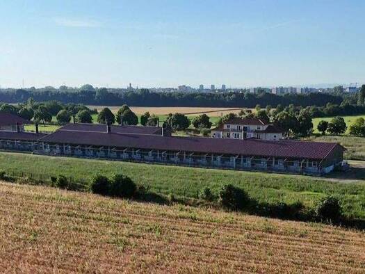 Reiterhof zum Kauf 2.750.000 € 260 m² 70.000 m² Grundstück Delkenheim Wiesbaden 65205