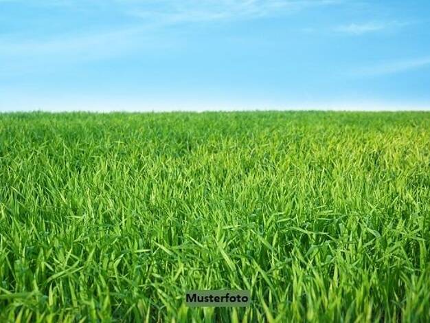 Land-/Forstwirtschaft zum Kauf 6.000 € 6.997 m² Grundstück Lindenstruth Reiskirchen 35447