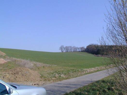 Grundstück zum Kauf provisionsfrei als Kapitalanlage geeignet 45 € 6.500 m² Grundstück Dammwiesen- Kalkgrube Oberfüllbach Ebersdorf b.Coburg 96237