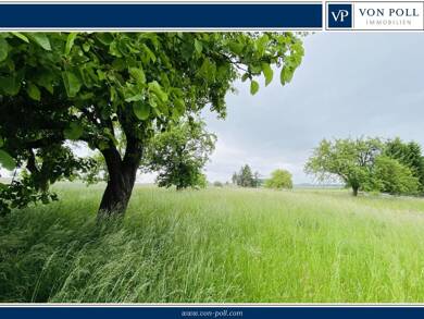 Mehrfamilienhaus zum Kauf als Kapitalanlage geeignet 445.000 € 8 Zimmer 214 m² 5.298 m² Grundstück Leppersdorf Wachau / Leppersdorf 01454