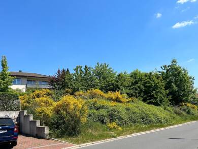 Grundstück zum Kauf 260.000 € 520 m² Grundstück Hemhofen Hemhofen 91334