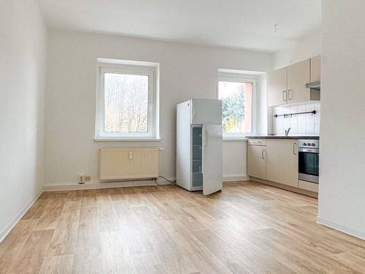 Wohnung zur Miete 200 € 2 Zimmer 36 m² EG Pöhlauer Straße 114 Pöhlau Zwickau 08066