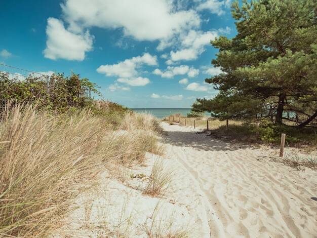 Wohnung zum Kauf 239.000 € 2 Zimmer 43,6 m² Geschoss 2/5 Nordstrand 405 Prora Binz 18609