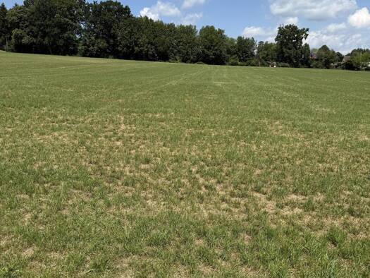Land-/Forstwirtschaft zum Kauf 46.000 € 6.130 m² Grundstück Mattsies Tussenhausen 86874