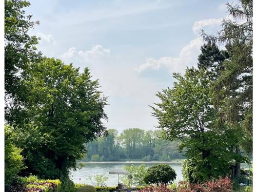 Terrassenwohnung zur Miete 1.600 € 3 Zimmer 93 m² UG frei ab sofort Niederkassel 53859