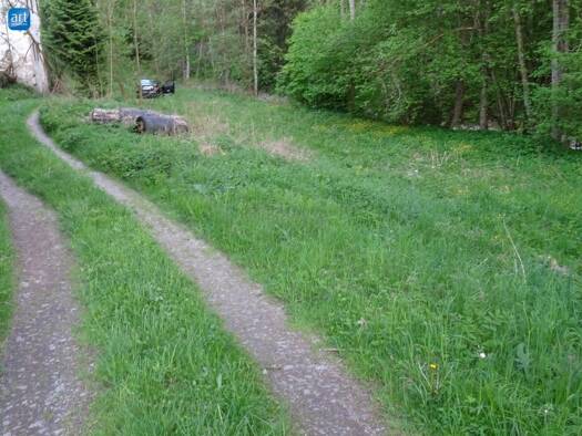 Grundstück zum Kauf 79.000 € 1.852 m² Grundstück Altenfelden 4121