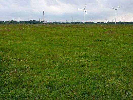 Land-/Forstwirtschaft zum Kauf 400.000 € 160.000 m² Grundstück Burg-Grambke Nord 28719