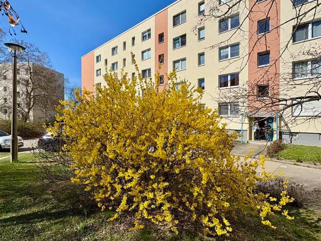 Studio zum Kauf 272.000 € 3 Zimmer 59 m² EG frei ab sofort Kaulsdorf Berlin 12619