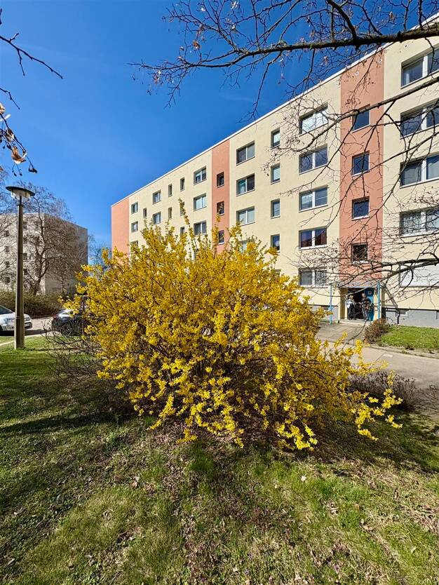 Wohnung zum Kauf 272.000 € 3 Zimmer 59 m² EG frei ab sofort Kaulsdorf Berlin 12619