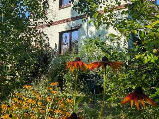 Einfamilienhaus zum Kauf 165.000 € 5 Zimmer 120 m² 6.707 m² Grundstück frei ab sofort Petersruh 10 Brüssow 17326