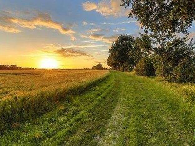 Land-/Forstwirtschaft zum Kauf 680.640 € 103.055 m² Grundstück Friesoythe 26169