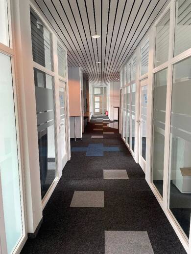 Bürofläche zur Miete provisionsfrei 2.400 € 450 m² Bürofläche Robert Bosch Straße Gärtringen Gärtringen 71116