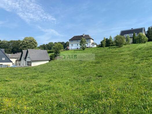 Doppelhaushälfte zum Kauf 85.000 € 4 Zimmer 138 m² 714 m² Grundstück Seiffen/Erzgebirge 09548