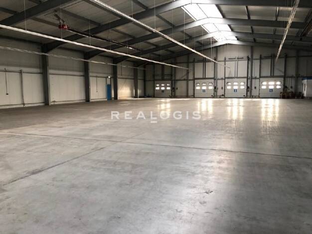 Halle/Industriefläche zur Miete 4.000 m² Lagerfläche Innenstadt Worms 67547