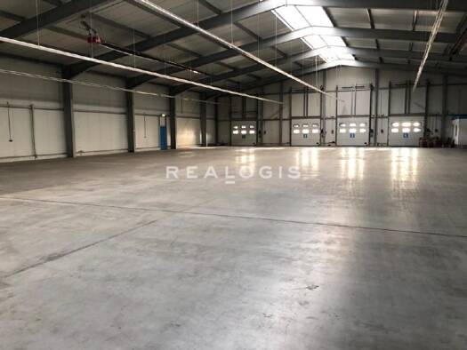 Halle/Industriefläche zur Miete 4.000 m² Lagerfläche Innenstadt Worms 67547