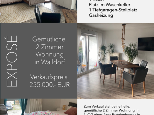Wohnung zum Kauf provisionsfrei 255.000 € 2 Zimmer 55 m² Geschoss 1/3 Walldorf 69190