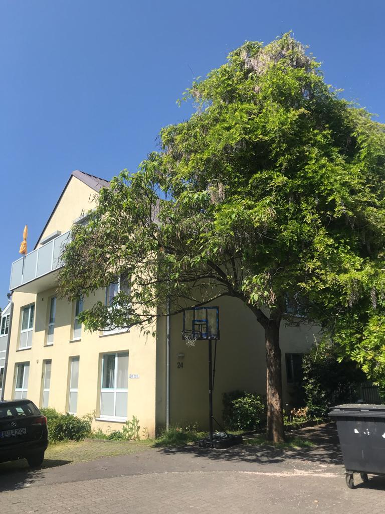 Wohnung zum Kauf provisionsfrei 399.000 € 4 Zimmer 108 m²<br/>Wohnfläche 1.<br/>Geschoss Stadtmitte Aschaffenburg 63739