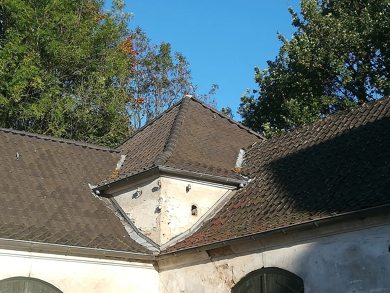 Wohnung zur Miete 1.000 € 2,5 Zimmer 85 m² Geschoss 1/11 frei ab sofort Breitscheid Ratingen 40885