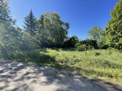 Grundstück zum Kauf 99.000 € 1.810 m² Grundstück Querweg Heudeber Nordharz 38855