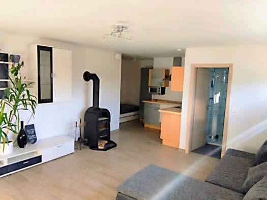 Wohnung zur Miete 350 € 1 Zimmer 30 m² Geschoss -1/2 frei ab 01.09.2026 Schopfloch 72296