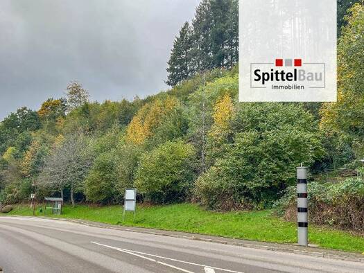 Grundstück zum Kauf 129.000 € 2.116 m² Grundstück Schenkenzell 77773