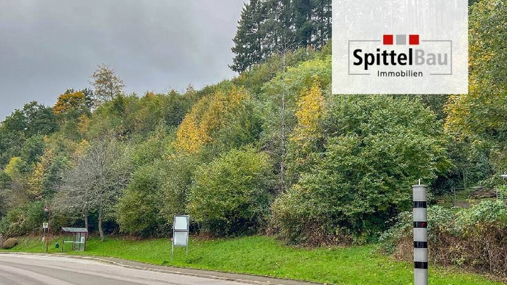 Grundstück zum Kauf 129.000 € 2.116 m² Grundstück Schenkenzell Schenkenzell 77773
