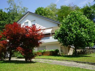 Mehrfamilienhaus zum Kauf 884.000 € 6 Zimmer 225 m² 1.060 m² Grundstück Wyhlen Grenzach-Wyhlen 79639