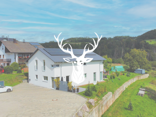 Mehrfamilienhaus zum Kauf 830.000 € 6 Zimmer 265 m² 4.061 m² Grundstück Indlekofen Waldshut-Tiengen 79761