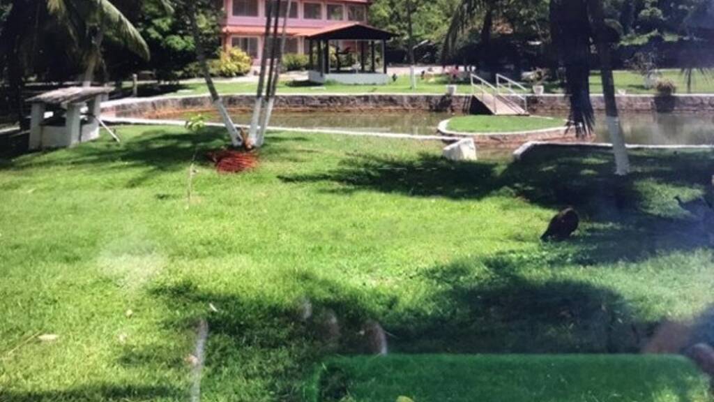 Einfamilienhaus zum Kauf 550.000 € 8 Zimmer 600 m² 10.000 m² Grundstück Ilha de Itamaraca 53900000