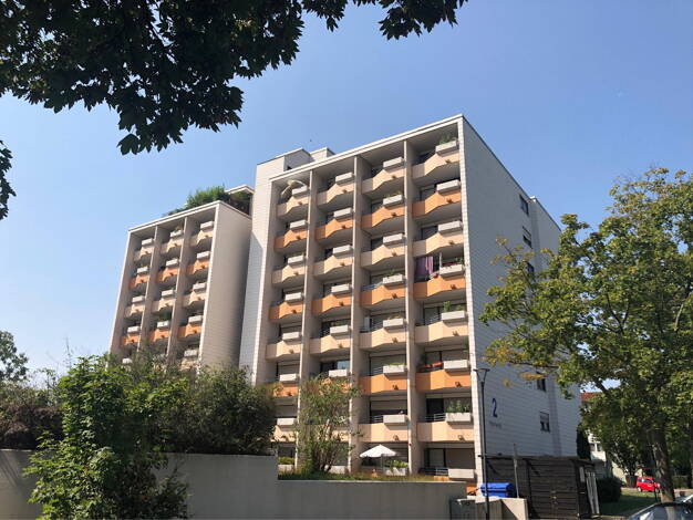 Studio zur Miete 565 € 1 Zimmer 30 m² frei ab 01.06.2026 Handschuhsheim Heidelberg 69121