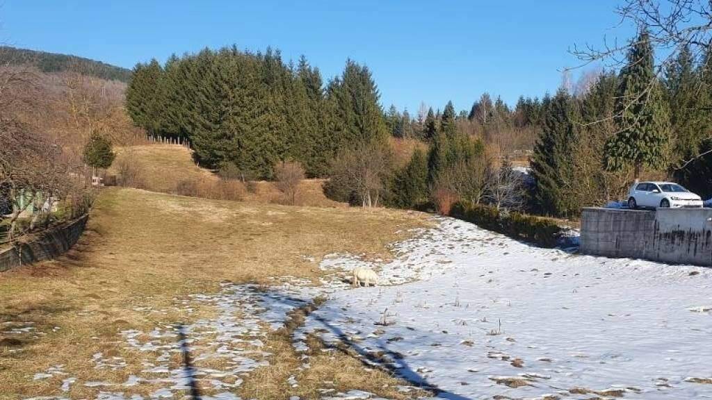 Land-/Forstwirtschaft zum Kauf 45.000 € Hambariste, Vrbovsko Vrbovsko