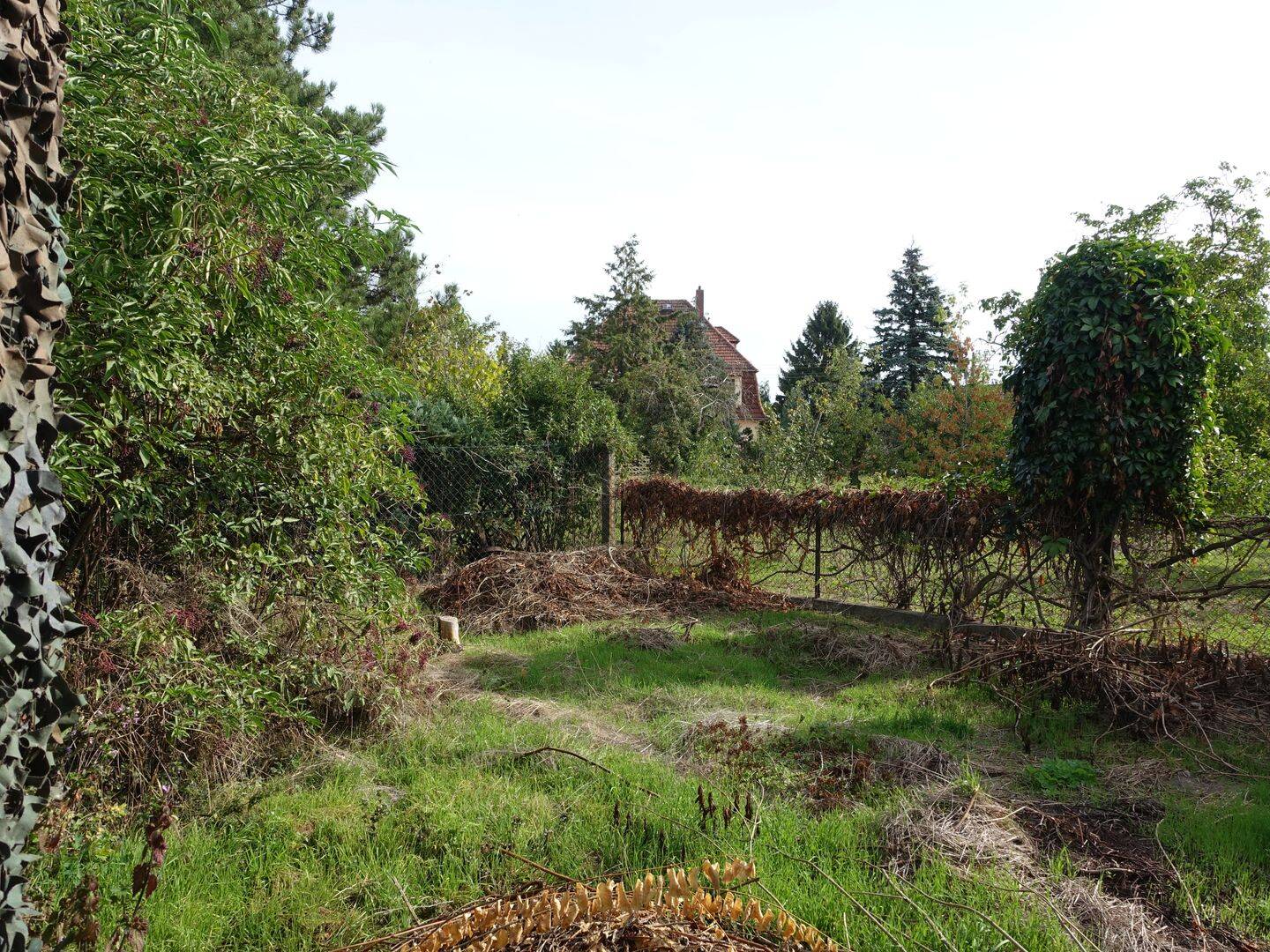 Einfamilienhaus zum Kauf - Ansicht 5