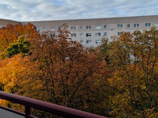 Wohnung zur Miete 253 € 1 Zimmer 36 m² 5 Geschosse frei ab sofort Ringstraße 91 Grünau-Mitte Leipzig 04209