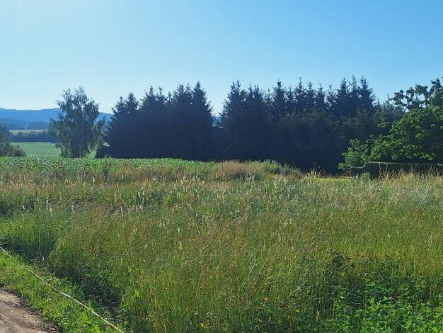 Grundstück zum Kauf provisionsfrei 85.000 € 654 m² Grundstück In der Aue Barchfeld Barchfeld-Immelborn 36456