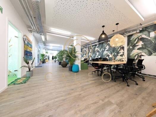 Bürokomplex zur Miete provisionsfrei 1.000 m² Bürofläche teilbar ab 1 m² Innenstadt Mitte 44787