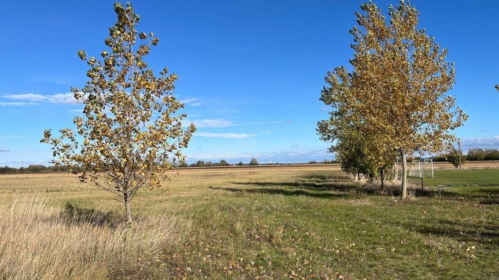 Grundstück zum Kauf 42.900 € 1.773 m² Grundstück Mezöörs