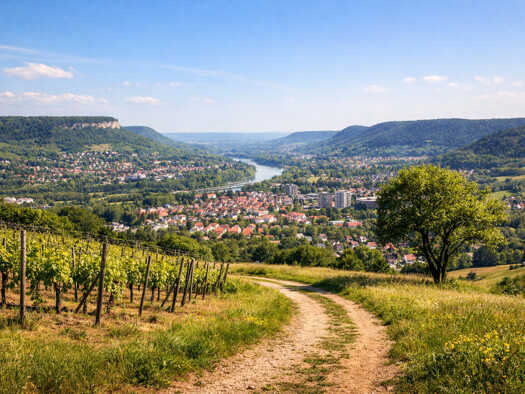 Land-/Forstwirtschaft zum Kauf 143.387 m² Grundstück Zwätzen Jena 07743