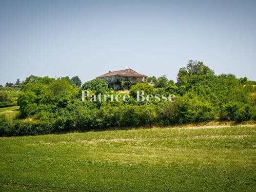 Einfamilienhaus zum Kauf 895.000 € 12 Zimmer 422 m² 39.680 m² Grundstück Duras 47120