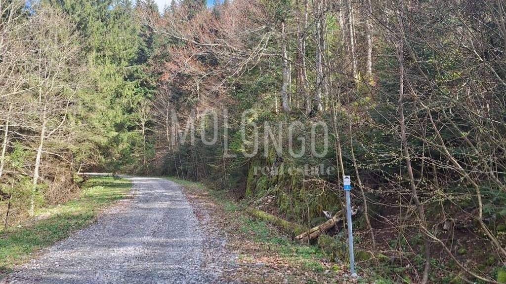 Land-/Forstwirtschaft zum Kauf 11.000 € Mrkopalj Mrkopalj