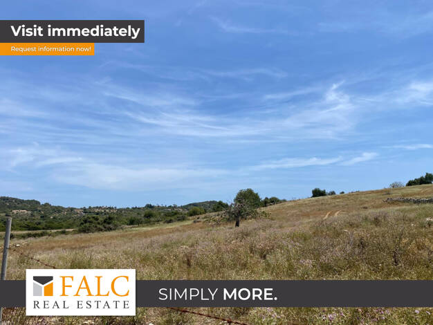 Grundstück zum Kauf provisionsfrei 355.000 € 16.000 m² Grundstück Son Servera 07550